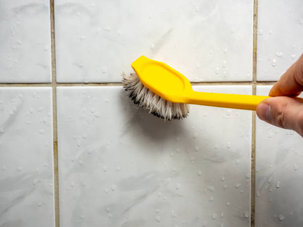 Best Fast Mold Removal  in Earlvle, IL