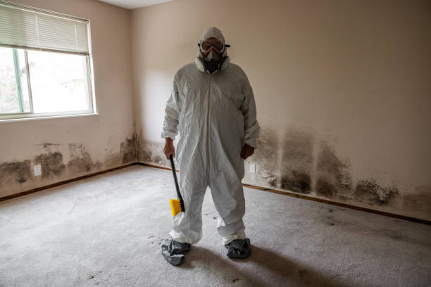 Best Mold Remediation  in Earlvle, IL